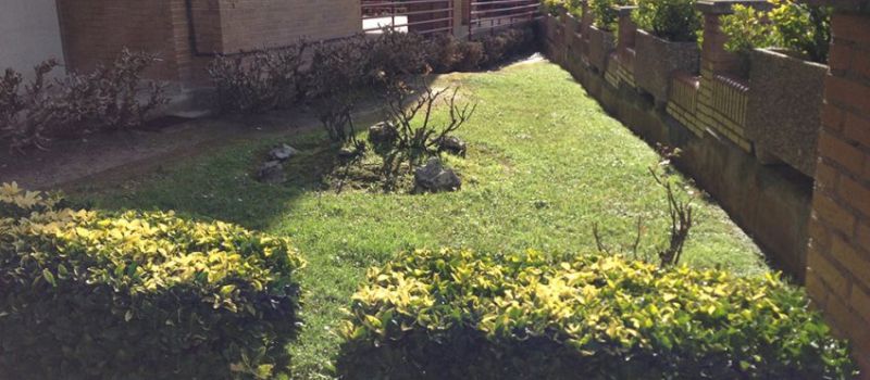 Trabajos limpieza Cantabria 05 Trabajos limpieza Cantabria 05